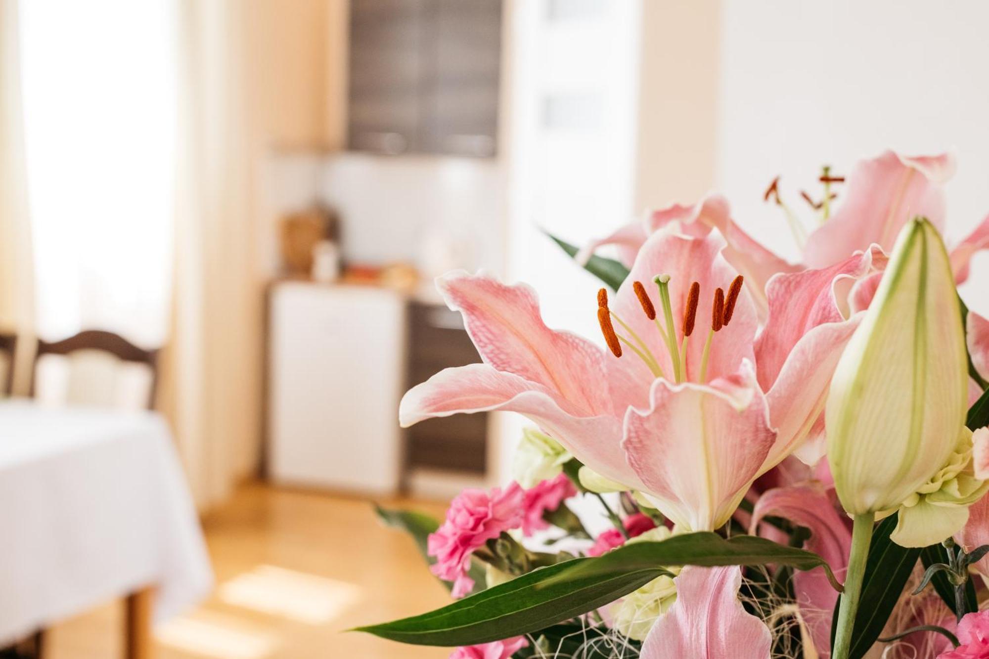 Apartamenty Baltyckie Władysławowo 外观 照片